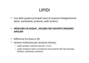 Lipidi 2013-14 - Share Dschola