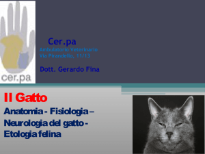 Dott. Gerardo Fina - Provincia di Piacenza