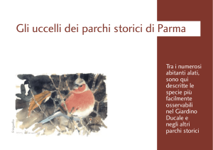 Gli uccelli dei parchi storici di Parma