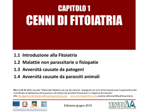 Capitolo 1 - Veneto Agricoltura
