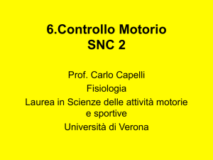 6.Controllo Motorio SNC 2