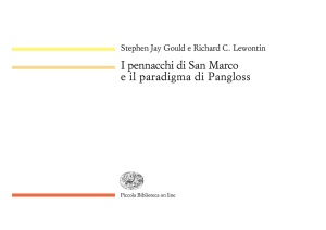 I pennacchi di San Marco e il paradigma di Pangloss