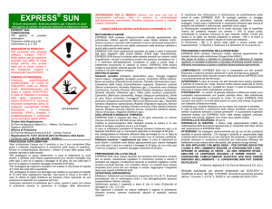 Express® Sun - etichetta CLP