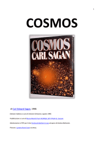 Cosmos - fondo Carla Betlamini