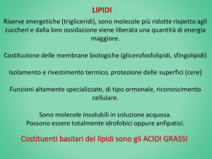 LIPIDI Costituenti basilari dei lipidi sono gli ACIDI GRASSI