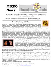 Il virus BK e la diagnosi di infezione - Policlinico S.Orsola