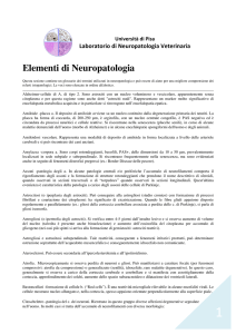 Laboratorio di Neuropatologia Veterinaria Elementi di Neuropatologia