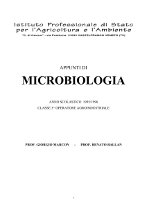 Appunti di microbiologia