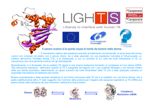 Progetto europeo LIGHTS
