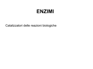 enzimi pdf - e