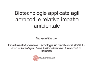 Cosa sono le biotecnologie applicate agli artropodi?