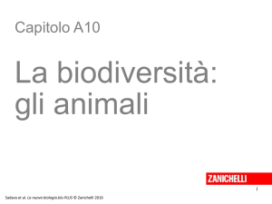 La biodiversità/ gli animali