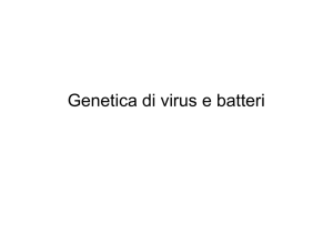 genetica di virus e batteri