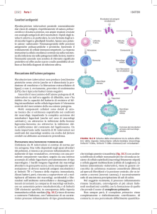 Caratteri antigenici Meccanismo dell`azione patogena