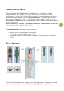 La posizione anatomica - Ferdinando Paternostro