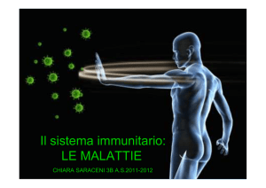 sistema immunitario (saraceni)