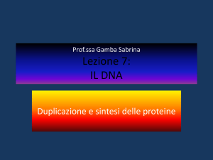 DNA - "Giovanni Penna"