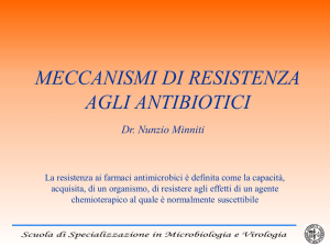 la resistenza agli antibiotici