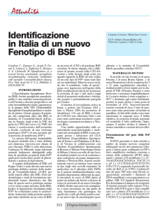 Identificazione in Italia di un nuovo Fenotipo di BSE