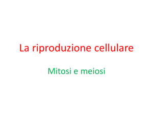 La riproduzione cellulare