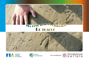 le tracce - Fondazione Lombardia per l`Ambiente