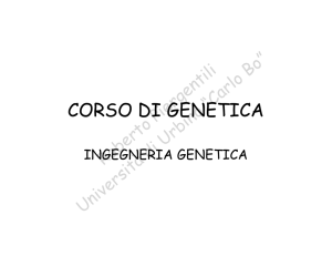 Cenni di ingegneria genetica