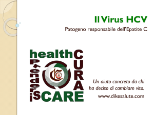 il Virus HCV