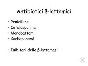 Antibiotici beta lattamici File