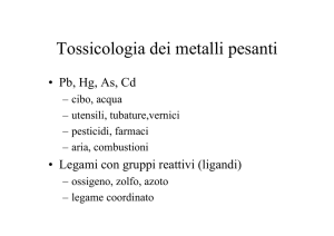 Tossicologia dei metalli pesanti