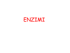enzimi - Corso di Laurea in Infermieristica