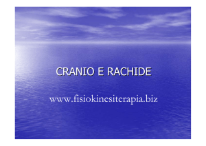 CRANIO E RACHIDE www.fisiokinesiterapia.biz