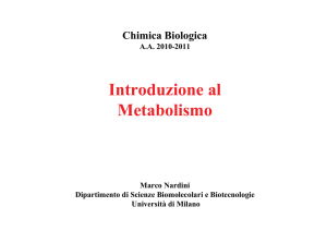 Metabolismo - Web server per gli utenti dell`Università degli Studi di