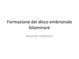 Diapositiva 1 - Marina Paolucci