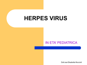 herpes virus - PediatriaMuccioli