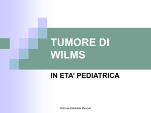 tumore di wilms - PediatriaMuccioli