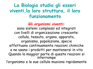 la-biologia1 - Liceo Dante Alighieri