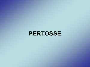 PERTOSSE