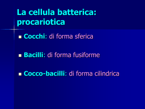 La cellula batterica - Fisioterapisti del Forlanini