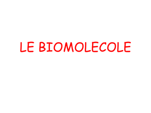 le biomolecole