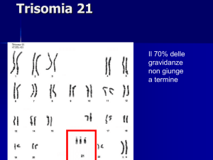 Trisomia 21 - vincenzonigro.it