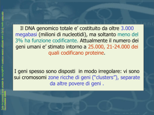 13 genoma e struttura geni