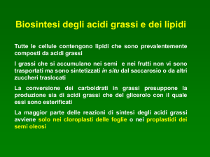 18._biosintesi_dei_grassi