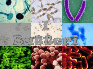 i batteri - Istituto Comprensivo Manziana