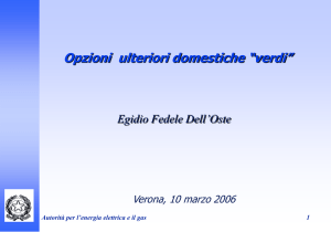 Expert Meeting on Renewable Energy, Italy 2006 - Verona