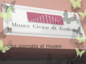 una_giornata_al_museo.pps - Alfieri Lante della Rovere