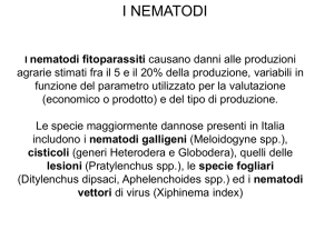 Nematodi - Istituto Serpieri Bologna