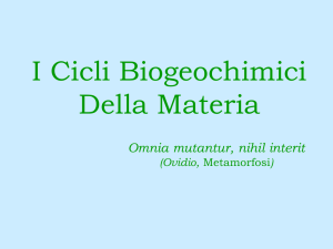 i Cicli Biogeochimici - Liceo Scientifico Talete