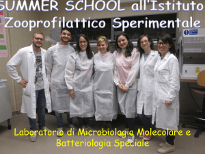 Microbiologia molecolare - Liceo Marconi