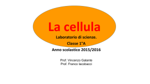 Laboratorio sulla cellula classe 1° A di Verolanuova