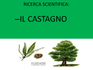 RICERCA SCIENTIFICA - Istituto Comprensivo Raffaello Sanzio